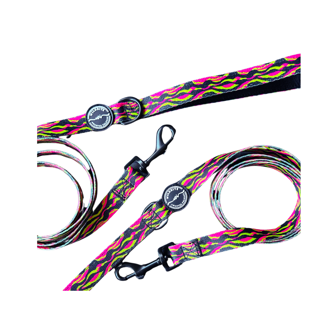 Correa StyleZebra