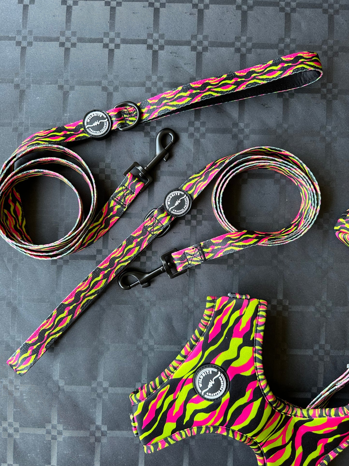 Correa StyleZebra
