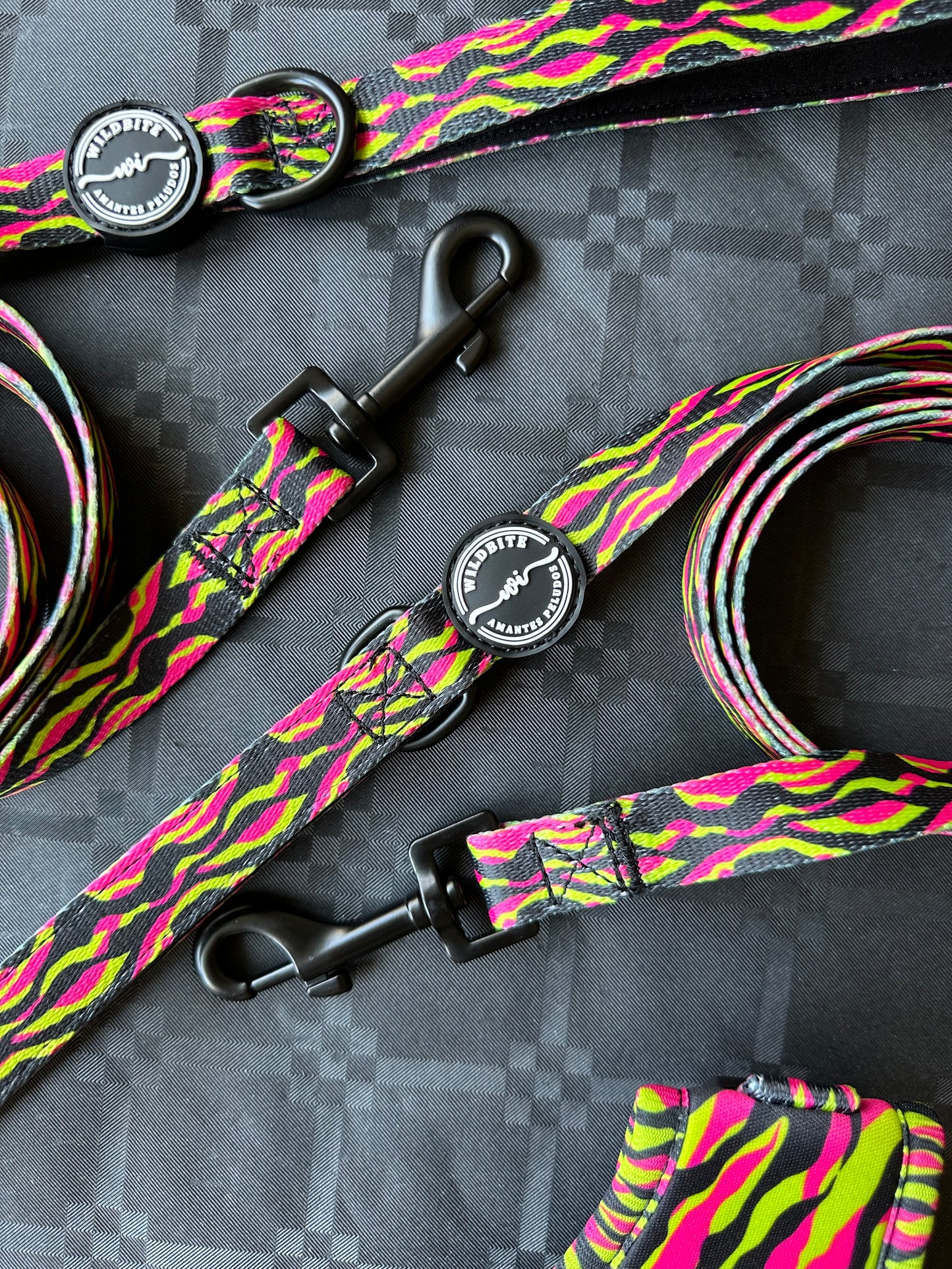 Correa StyleZebra
