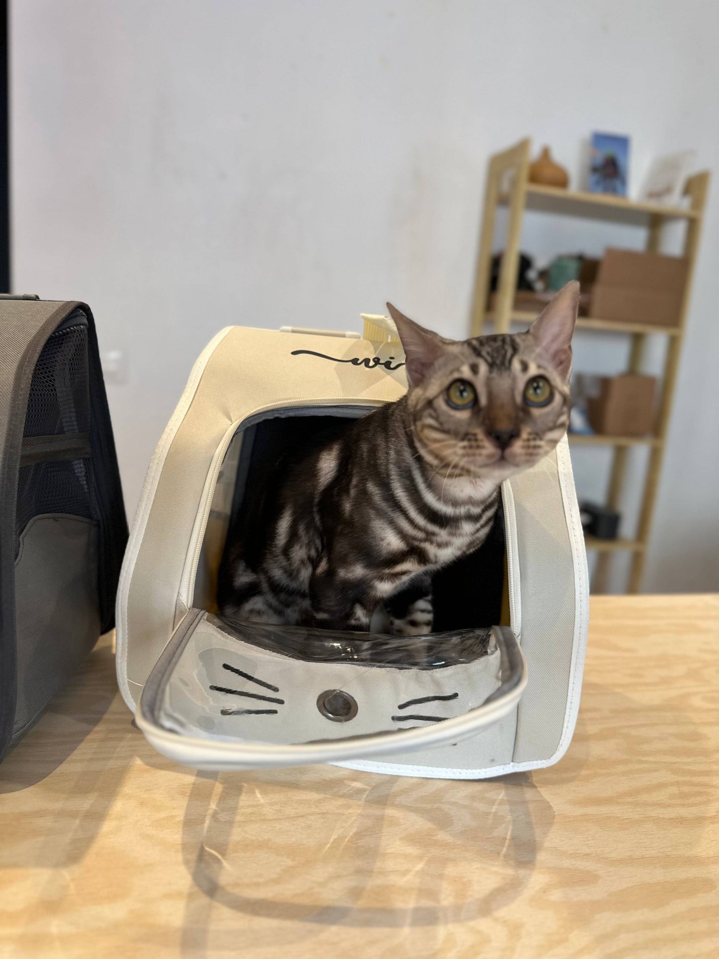 Mochila para Gato Beige